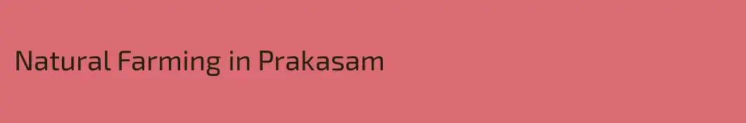 Natural Farming in Prakasam